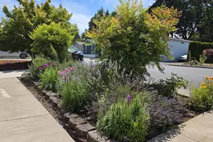 16680 80th Pl, Milwaukie, OR 97267 - Photo 7
