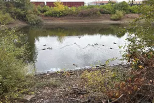 1281 Hwy 99N, Eugene, OR 97402 - Photo 25