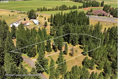 81 Valley Rd, Trout Lake, WA 98650 - Photo 5