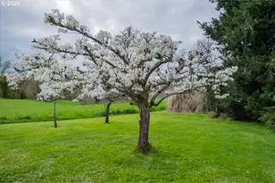 16770 S Swan Ave, Oregon City, OR 97045 - Photo 43