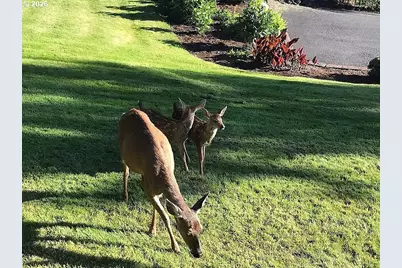 197 Manderville Ln, Roseburg, OR 97471 - Photo 7