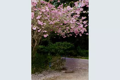 99268 Winchuck River Rd, Brookings, OR 97415 - Photo 19