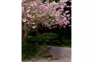 99268 Winchuck River Rd, Brookings, OR 97415 - Photo 19