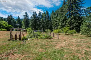 18965 Hwy 126, Walton, OR 97490 - Photo 11