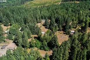 18965 Hwy 126, Walton, OR 97490 - Photo 5