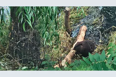 2055 SE Oak Crest Dr, Hillsboro, OR 97123 - Photo 43