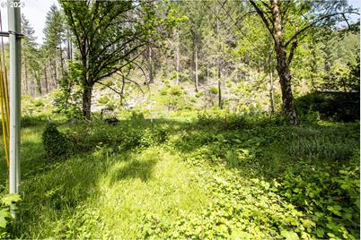 47987 McKenzie Hwy, Vida, OR 97488 - Photo 1