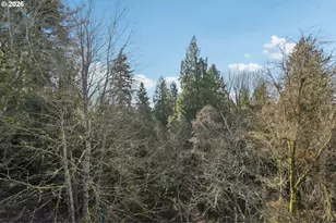 1005 NW 132nd St, Vancouver, WA 98685 - Photo 23