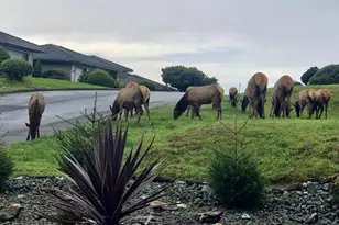 96503 Ridgeway St, Brookings, OR 97415 - Photo 1