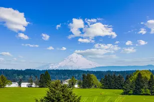 22992 S Haines Rd, Canby, OR 97013 - Photo 39