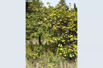 45088 Hwy 101, Sixes, OR 97476 - Photo 13
