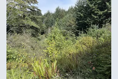 45088 Hwy 101, Sixes, OR 97476 - Photo 37
