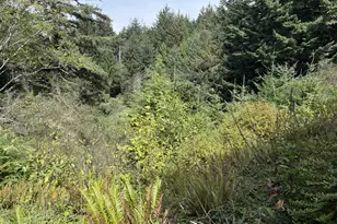 45088 Hwy 101, Sixes, OR 97476 - Photo 37