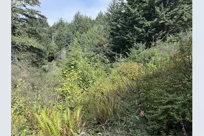 45088 Hwy 101, Sixes, OR 97476 - Photo 39