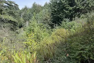 45088 Hwy 101, Sixes, OR 97476 - Photo 39