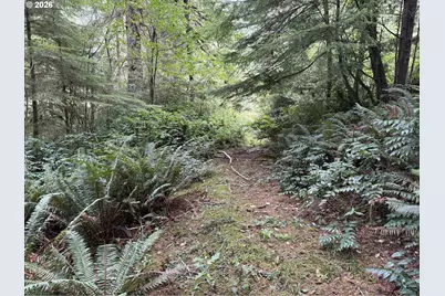 45088 Hwy 101, Sixes, OR 97476 - Photo 27
