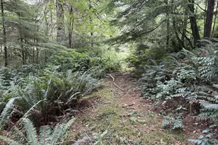 45088 Hwy 101, Sixes, OR 97476 - Photo 27