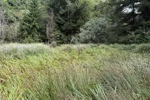 45088 Hwy 101, Sixes, OR 97476 - Photo 33