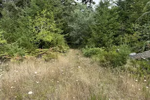45088 Hwy 101, Sixes, OR 97476 - Photo 9