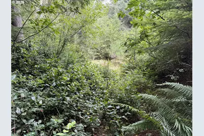 45088 Hwy 101, Sixes, OR 97476 - Photo 29