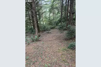 45088 Hwy 101, Sixes, OR 97476 - Photo 21
