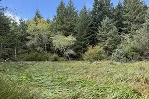 45088 Hwy 101, Sixes, OR 97476 - Photo 35