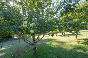 62061 Ross Inlet Rd, Coos Bay, OR 97420 - Photo 43