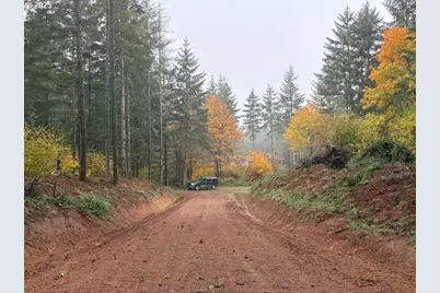 00 Cater (East) Rd, Warren, OR 97053 - Photo 21