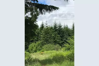 00 Cater (East) Rd, Warren, OR 97053 - Photo 5