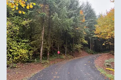00 Cater (East) Rd, Warren, OR 97053 - Photo 11