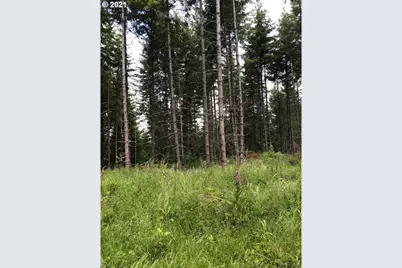 00 Cater (East) Rd, Warren, OR 97053 - Photo 3