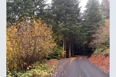 00 Cater (East) Rd, Warren, OR 97053 - Photo 15
