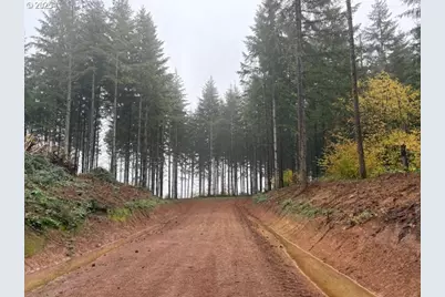 00 Cater (East) Rd, Warren, OR 97053 - Photo 19