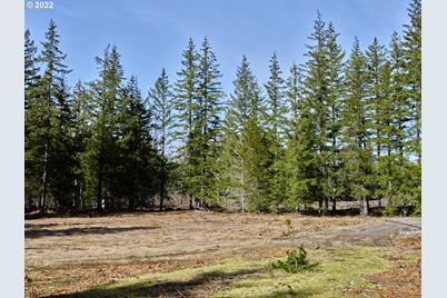 6 Loowit Ln, Cougar, WA 98616 - Photo 1