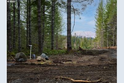 Lahar Ln #1A, Cougar, WA 98616 - Photo 1