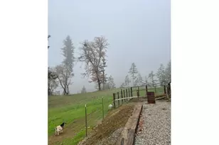 375 Jordan Creek Rd, Riddle, OR 97469 - Photo 41