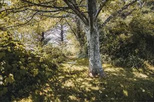 6485 Heron View Dr, Neskowin, OR 97149 - Photo 43