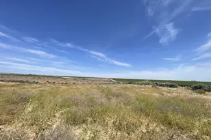 38 Vineyard View Dr, Bickleton, WA 99322 - Photo 19