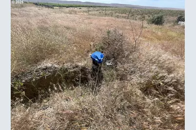 38 Vineyard View Dr, Bickleton, WA 99322 - Photo 17