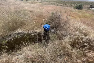 38 Vineyard View Dr, Bickleton, WA 99322 - Photo 17