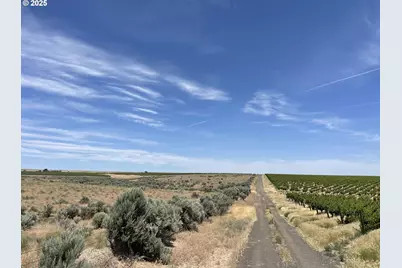 38 Vineyard View Dr, Bickleton, WA 99322 - Photo 9