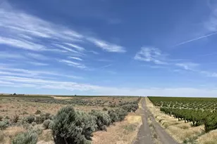 38 Vineyard View Dr, Bickleton, WA 99322 - Photo 9