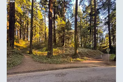 2123 SE 52nd Ave, Portland, OR 97215 - Photo 39