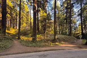 2123 SE 52nd Ave, Portland, OR 97215 - Photo 39