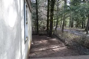 40747 NE Miller Rd, Washougal, WA 98671 - Photo 9