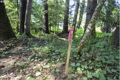 Ross Ln, Cannon Beach, OR 97110 - Photo 15