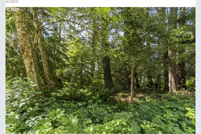 Ross Ln, Cannon Beach, OR 97110 - Photo 21