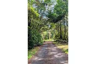 1250 Deady St, Port Orford, OR 97465 - Photo 47