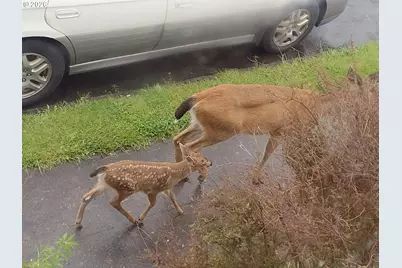 612 Harrison Ave, Astoria, OR 97103 - Photo 17