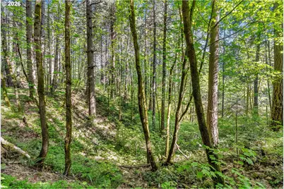 Hwy 141, BZ Corner, WA 98672 - Photo 5